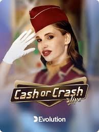 Kingpunt | Kingpunt id | Kingpunt app | Kingpunt demo | Kingpunt Whatsapp number